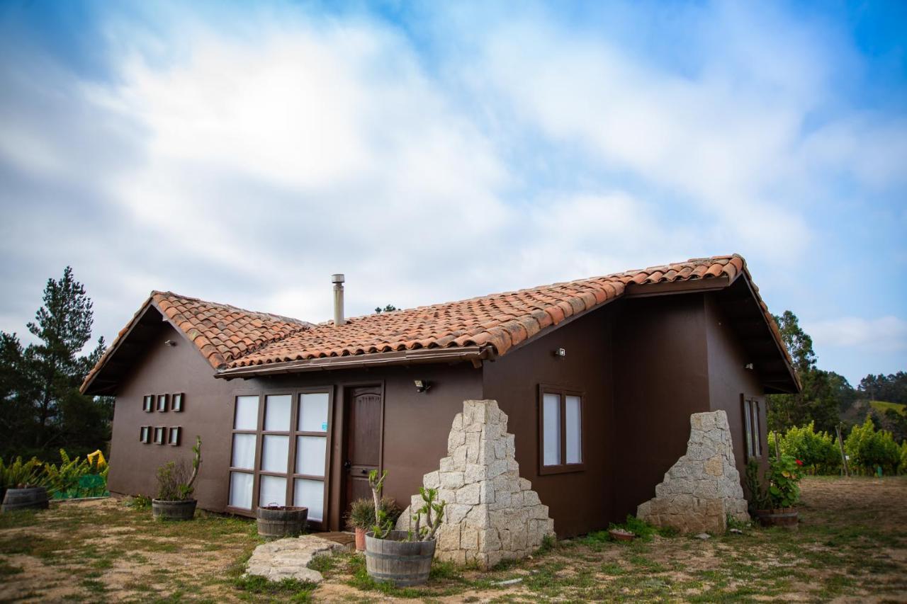 Bungalow Miramar & Jeronimo At Casa Marin Vineyards Bed and Breakfast Cartagena  Esterno foto